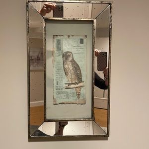 2 glass and mirror bird pictures 12” wide x 20” high